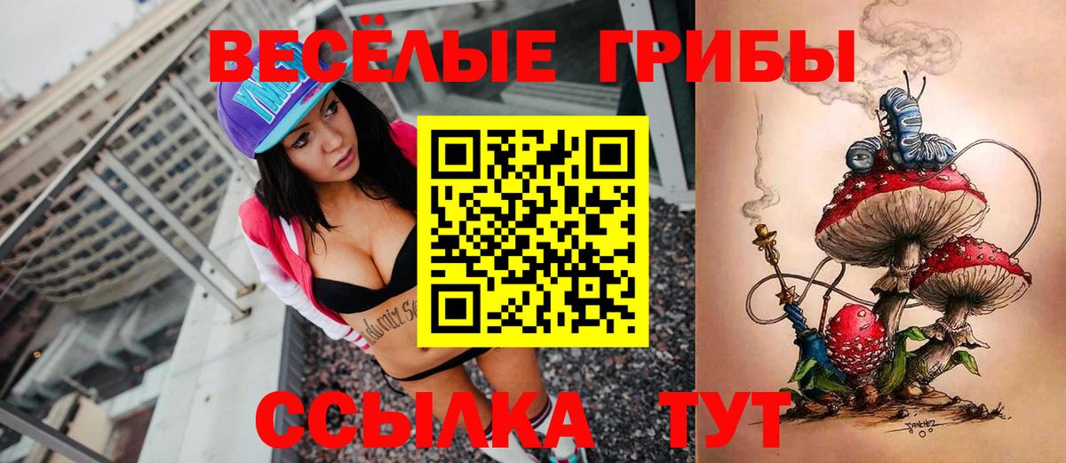 Галлюциногенные грибы GOLDEN TEACHER Губкин
