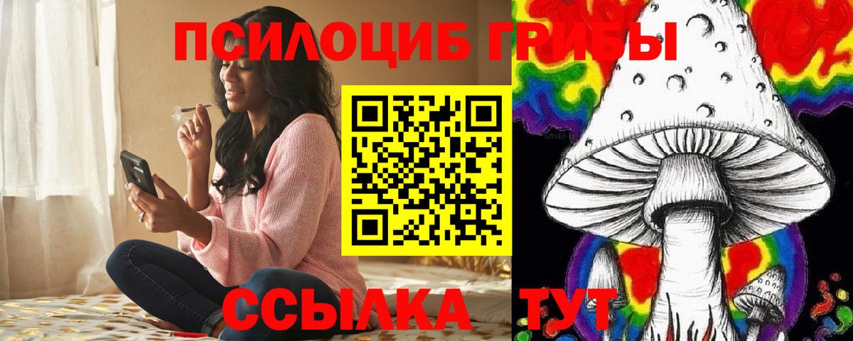 Псилоцибиновые грибы прущие грибы  Вход с VPN  Губкин 